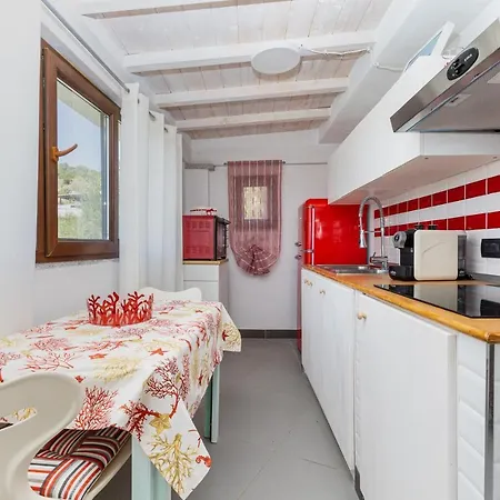 Red House * Olbia